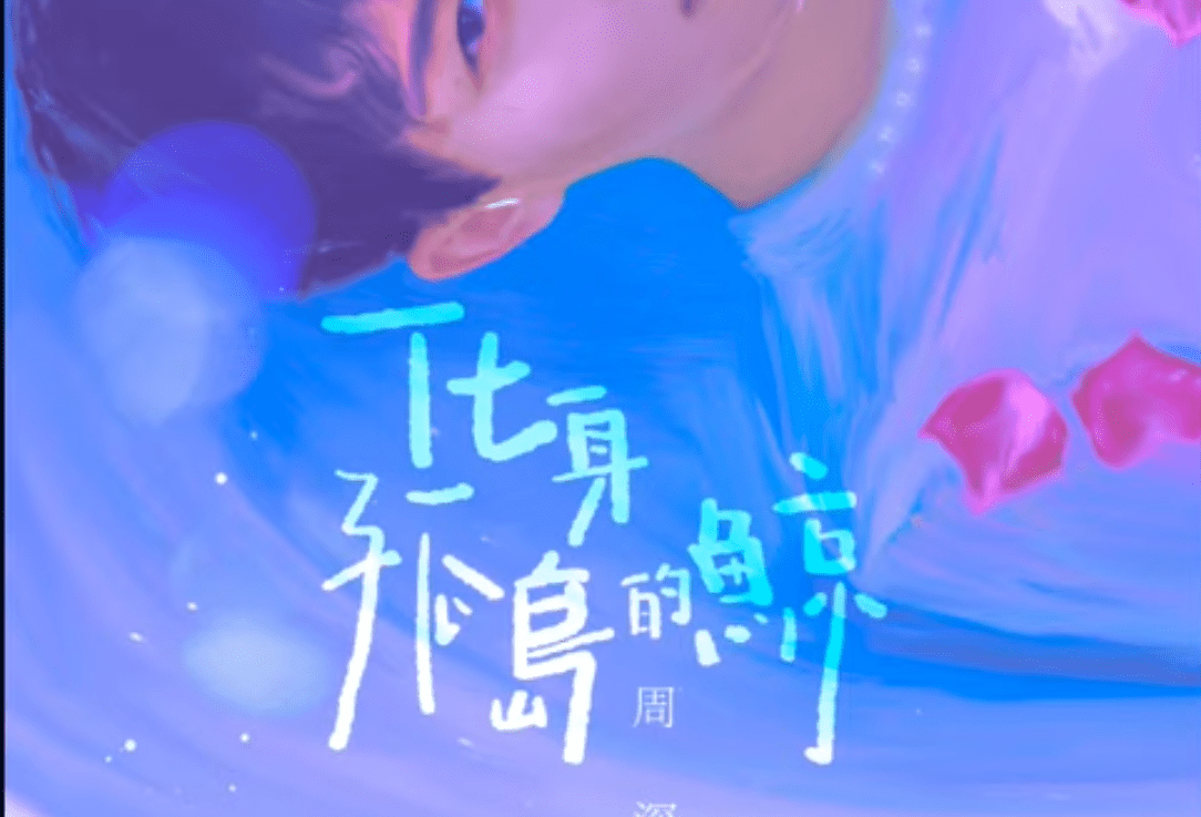 化身孤岛的鲸🐋